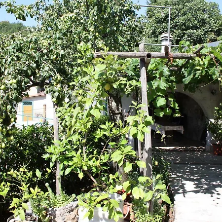 Vesna Free Parking
